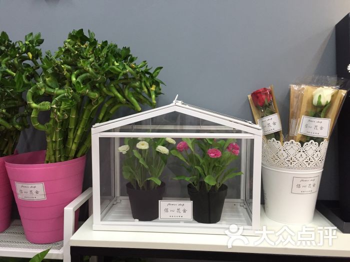 信心花舍-图片-天津购物-大众点评网