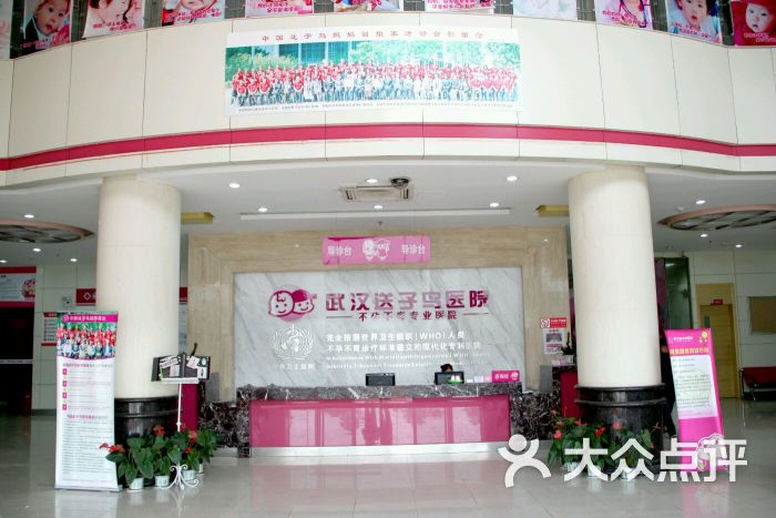 武汉送子鸟医院-图片-武汉生活服务