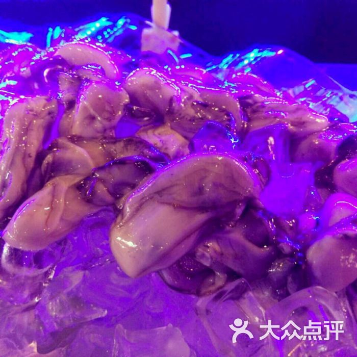 t天津怡乡春竹海鲜店_天津北塘集装箱海鲜街_天津之眼(3)