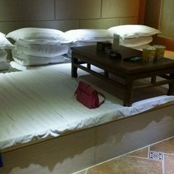 大土豆_2306的主页