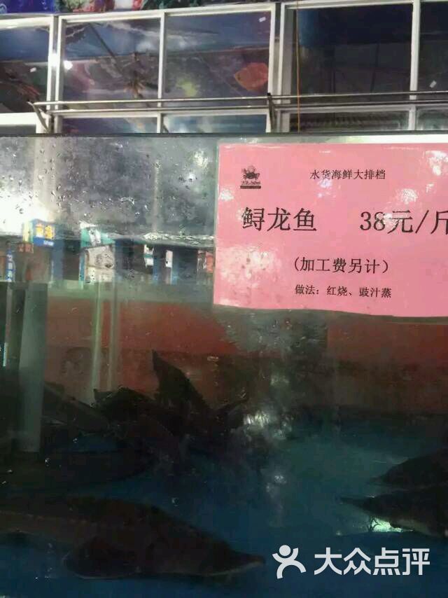 水货海鲜