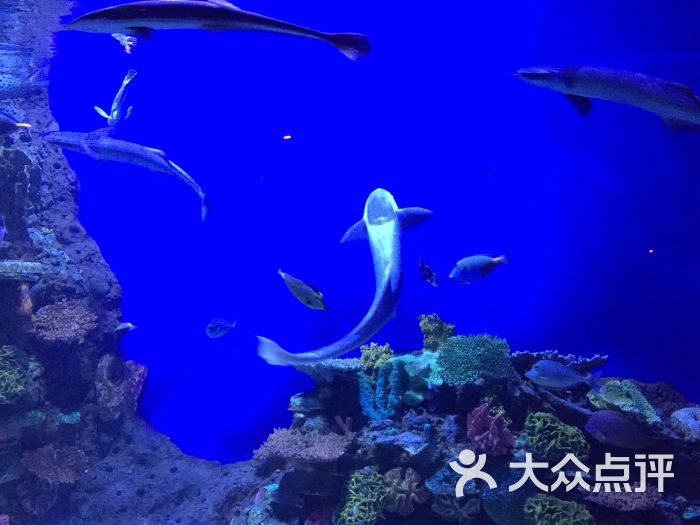 大武汉旅游卡-武汉景区旅游年卡-图片-武汉生活