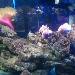 清风梦幻1234的主页-会员-大众点评网